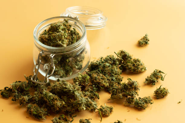 open a marijuana dispensary in michigan