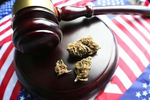 New Michigan Cannabis Laws
