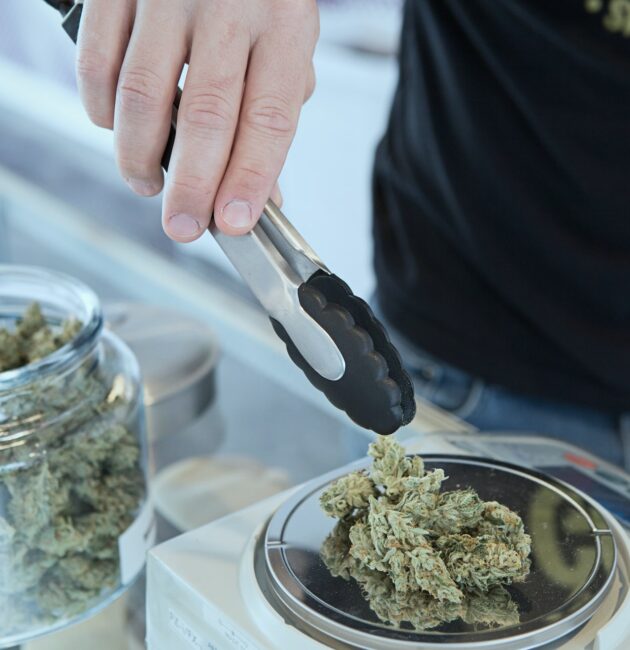 latest michigan medical marijuana news